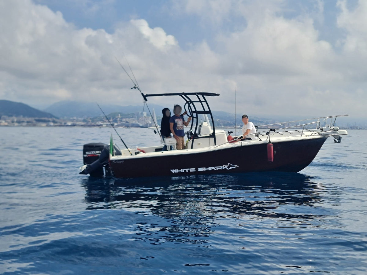 T-Top in alluminio Rodzero Alpha